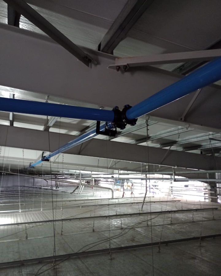 395349310_269667389394110_8011865364164412662_n